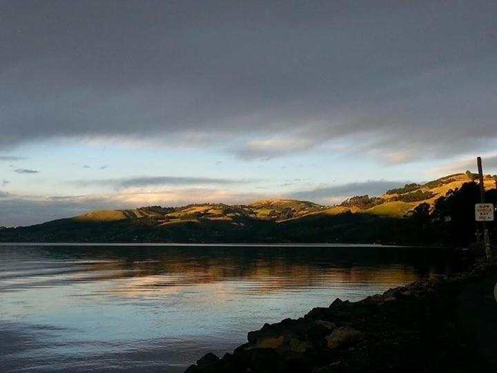 Otago Peninsula Paradise Dunedin Zewnętrze zdjęcie
