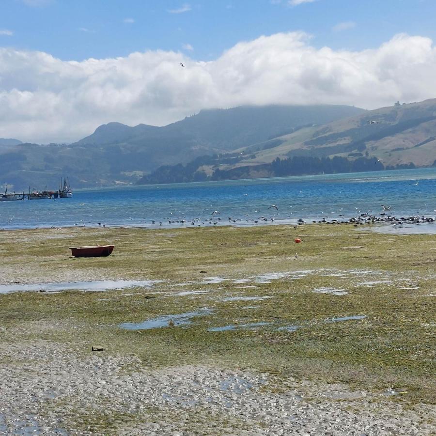 Otago Peninsula Paradise Dunedin Zewnętrze zdjęcie