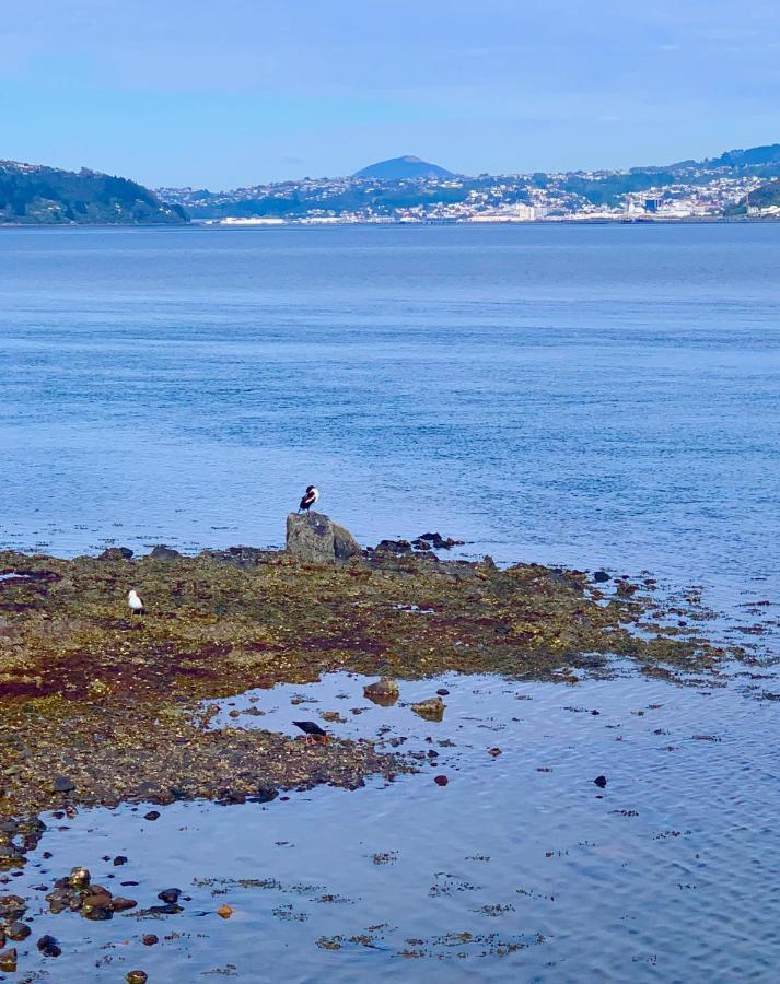 Otago Peninsula Paradise Dunedin Zewnętrze zdjęcie